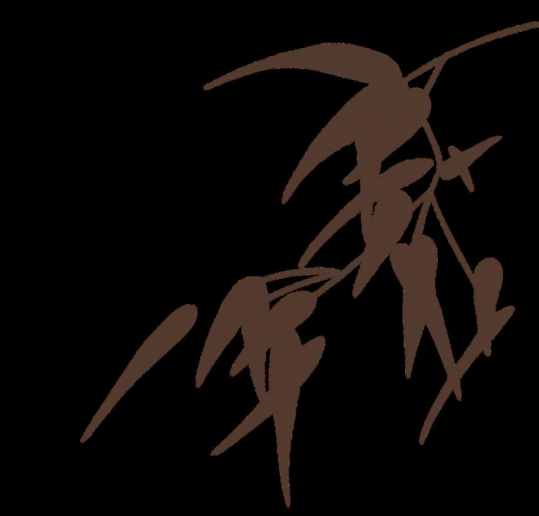 DƬ